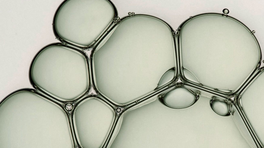 Phyto Complex: a ciência por trás de fios fortes, brilhantes e saudáveis.