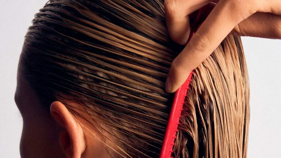 Prebióticos no cabelo: o que é e por que estão em alta